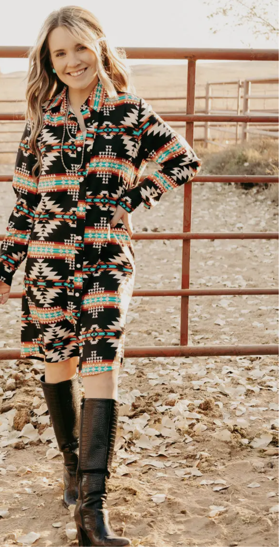 Bandera Button Up Dress