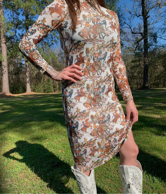 Buckaroo Dress