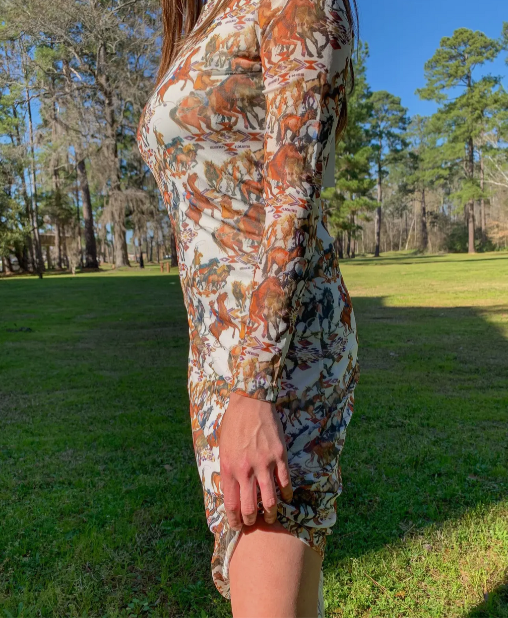 Buckaroo Dress